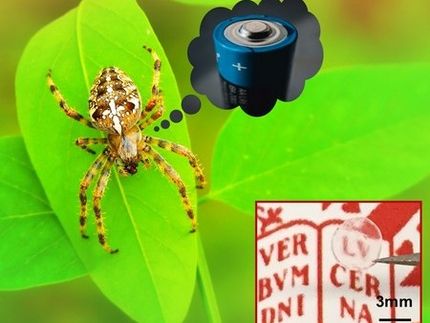What Do Spiders Have in Common with Batteries?