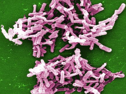 Dieting and its effect on the gut microbiome