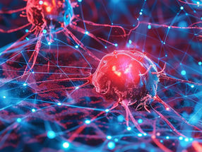 Cancer treatment: Experts propose specific and suited guidelines for the use and regulation of artificial intelligence