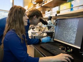 A synthesized protein from fish blood could prevent food and drugs from freezing