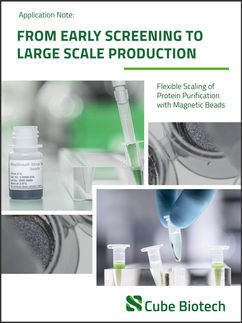 Flexible Scaling of Protein Purification with Magnetic Beads